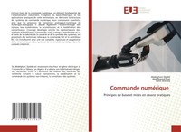 Abdelghani Djeddi (U. A.) | Commande NuméRique | Taschenbuch | FranzöSisch