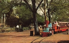 Postcard Zoo Line Railroad Forest Park St Louis Missouri MO