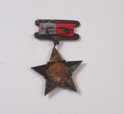 INSIGNIA DE COLECCIÓN FRENTE NACIONAL LIBERACIÓN SUR VN VIETCONG CHIEN SY GIAI PHONG - Imagen 3 de 3