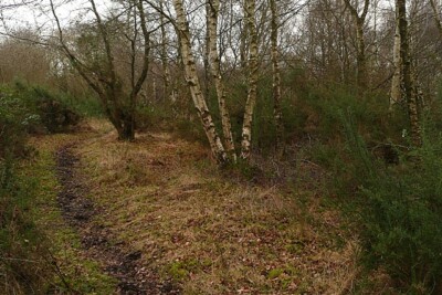 Photo 6x4 Crookham Common Crookham/SU5464 The open access area south of ...