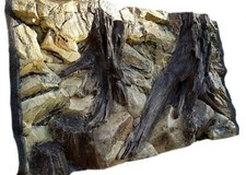 3D AQUARIUM BACKGROUND FOR FISH TANK BACK WALL  ROCK ROOT  DECORATION POLY RESIN