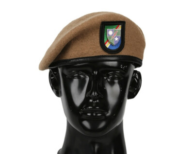Us Army Beret Colors And Meanings All Colours High Quality British