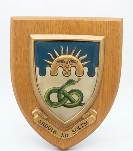 Vintage University Of Birmingham Heraldic Shield The York Made In Great Britain