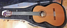 Paco Castillo 205 Classical Guitar Special Model Top Painted with Shellac