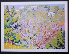 art postcard OS The Orchard St Paul France E Ambrose Webster painting Babcock