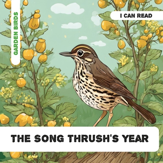 The Song Thrushs Year by Caroline Petherbridge PAPERBACK 9781739176358