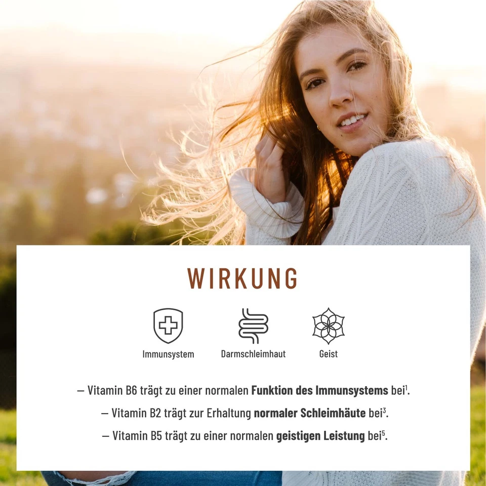 Pilz Komplex Vitamin B2 Chaga Vitalpilze Shiitake Extrakt Pilzkraft NATURTREU® - Bild 3 von 4