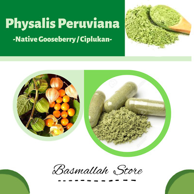 CAPSULES Native Gooseberry Ciplukan Physalis Peruviana Organic WildCrafted