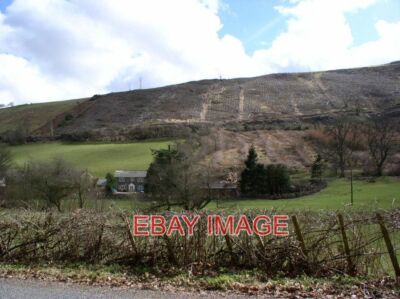 FOTO KLARE FÄLLUNG KLARE FÄLLUNG VON NADELWÄLDERN AUF DEN LLYWY HILLS TO