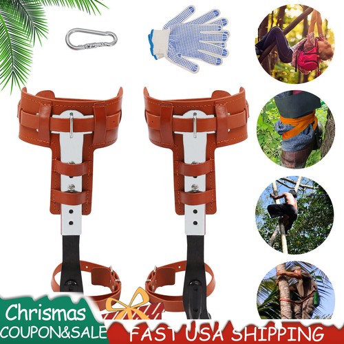 Tree Climbing Spikes Adjustable Height Pole Climbing Spurs Steel w/Climbing Gear - Imagen 2 de 12