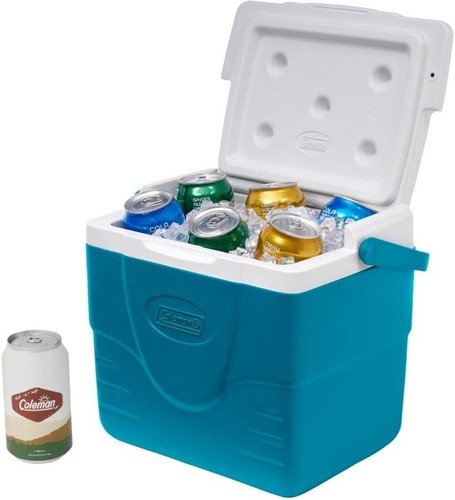 9qt Insulated Cooler Lunch Box, Portable Hard Cooler with Ice Retention & Hea... - 第 8/8 張圖片
