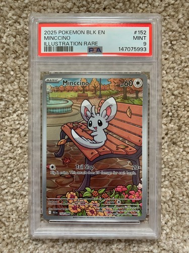 Minccino graded PSA 9 for sale on eBay
