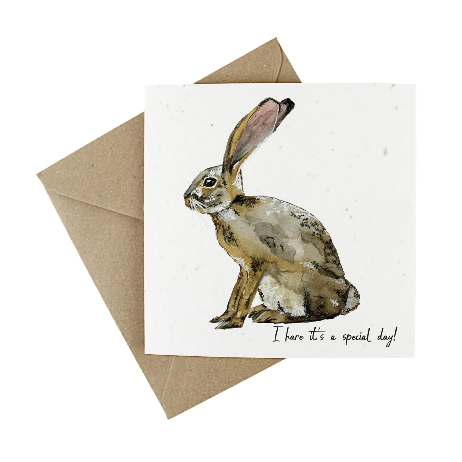 Wildflower Plantable Eco-Friendly Greetings Card - Hares Special Day