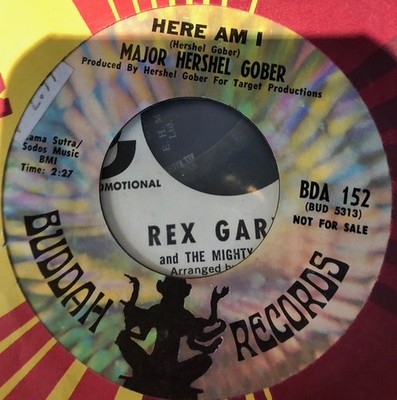 Hershel Gober - Picture Of A Man - Used Vinyl Record 7 - Promo - G8100z