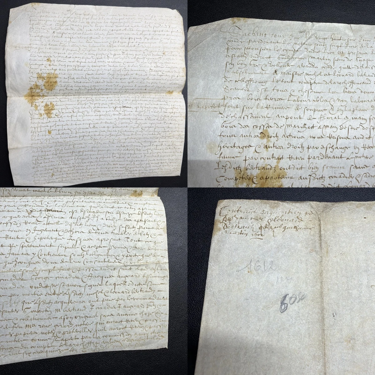 25+ Pre-1700 Vellum Antiquarian & Collectible Books for sale