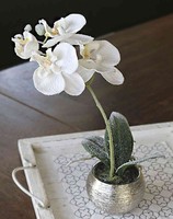 Artplants Phalaenopsis KüNstlich Karen, Dekotopf, Gefroren, Weiß, 35Cm