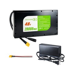 48V Battery Pack, 48V 20Ah Battery with 30A BMS for 200W-1200W Outdoor Projects