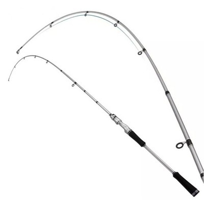 Carbon Fiber 2 Sections 6ft Fishing Rod Spinning Casting Carp Fishing Pole