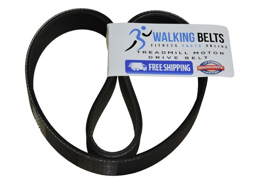 Walking Belts LLC - 291771 ProForm 765 EKG Treadmill Motor Drive Belt +1oz Lube - Picture 1 of 3