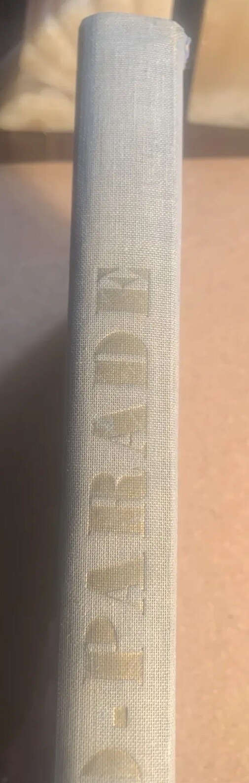 Picture 5 of 21