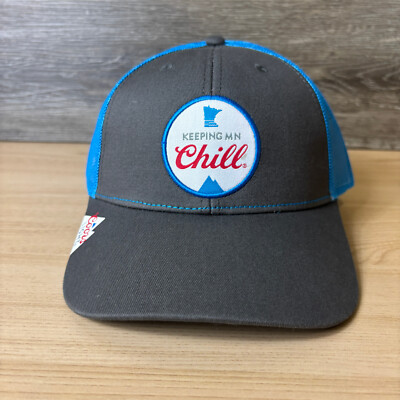 Coors Light Hat Cap Snapback Gray Beer Brewing Minnesota Chill Adjustable