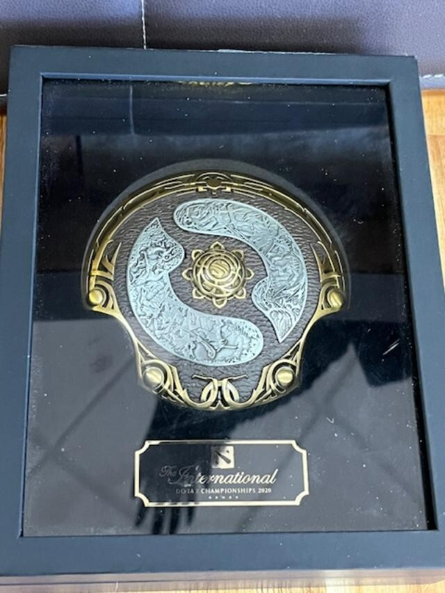 2020 The International Dota 2 Championships Aegis of