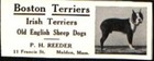 1912 Boston Terrier Dog Irish Reeder Malden Ma Vintage Print Ad 744