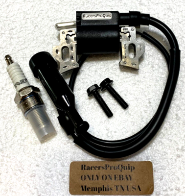#ad Coleman 196cc Performance Coil Cheater ALL COPPER NO RevLimit 24hrShip $24.95