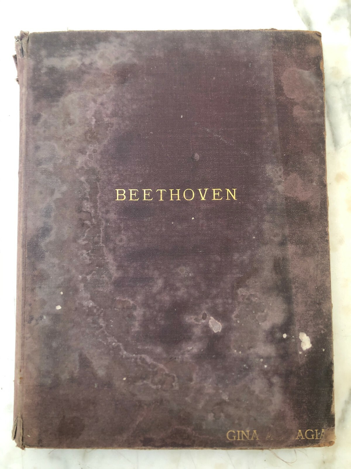 libro Sonaten fur pianoforte solo von L. Van Beethoven 400 pagine