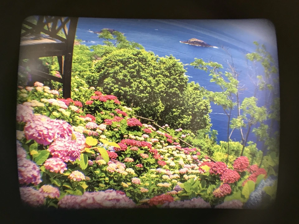 [Top MINT in Box] Ricoh GV-1 External Viewfinder 21mm 28mm Wide Angle for GR JPN - Image 2 of 4