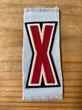 Astros Game Used MiLB Jersey Nameplate Letter Patches - Letter X