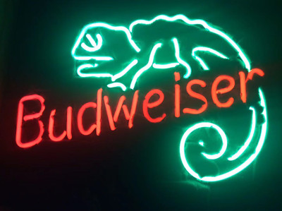 20''x16''Bvd Lizard Beer Neon Light Sign Real Glass Handmade Sign Shipping from US