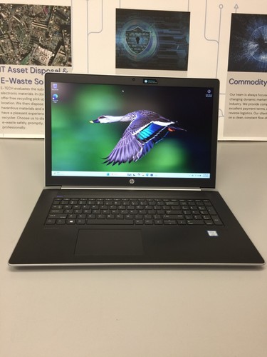 CPU HP PROBOOK450 CORE I7 8ª GENERACIÓN 1.80 GHZ 17.3''16 GB RAM 256 GB SSD WIN 11 PRO