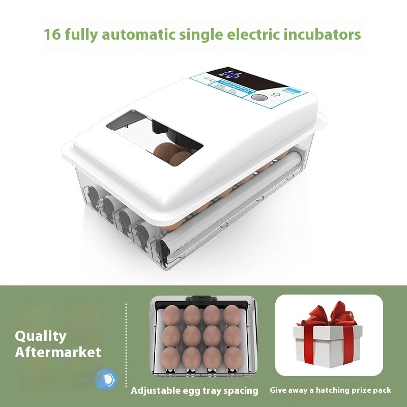 24 Eggs Auto-Turning Digital Incubator Automatic Hatch Chicken