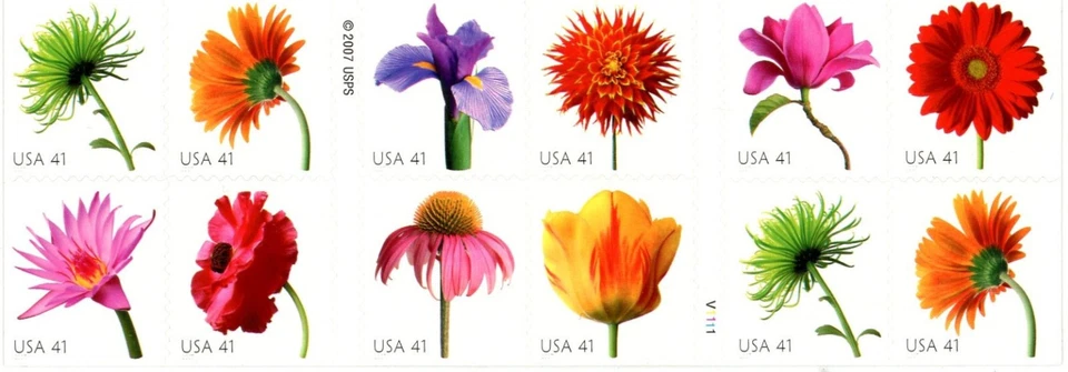 2007 Beautiful Blooms 41 cents Twenty Self-adhesive Stamps Booklet Brand New - Image 2 of 2