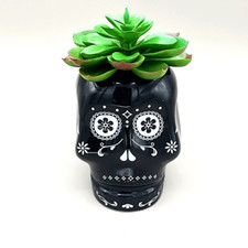 Black  White Small Sugar Skull with Faux Succulent