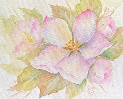 Original Apple Tree Flower Genuine Watercolour Painting K.V.