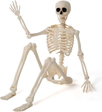 36" Halloween Skeleton Decor, 3FT Full Body Stayable Movable Joints, Posable Han