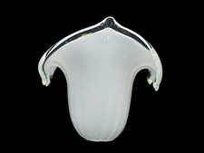 Ricambio  lampadario Tulip Glass Lamp Shade/la Murrina/Replacement Glass Lamp