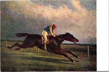 HORSES, Painter N. Sverchkov,  The Steeple-Chase of an English Horse  Postcard