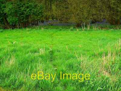 Photo 6x4 Fox run into Stanmore Copse near Clyffe Pypard The view is int c2007