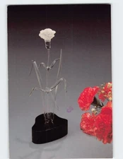 Postcard Beautiful Carnation The Fräbel Studio Atlanta Georgia USA