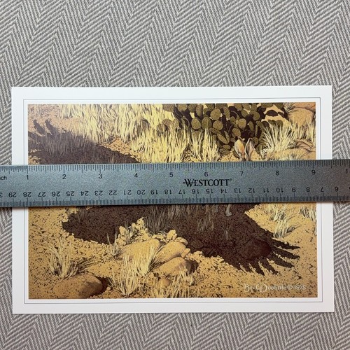 Bev Doolittle Vtg Print 5.5" x 8" Escape by a Hare Eagle Camo Nature Book Plate - Picture 2 of 6