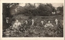 RPPC Antique Postcard Photo Picture Portrait Group Men Suits in Field
