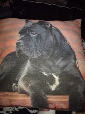 UNUSUAL & CUTE STAFFY/STAFFORDSHIRE BT DOG CUSHION COVER - 45 X 45 CM BRAND NEW