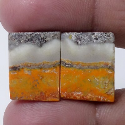 26.40 CT Natural Bumble Bee Jasper Pair Cabochon Earring Supply Gemstone RX-2928