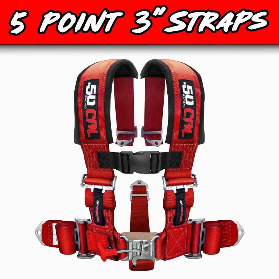 5 Point Harness 3
