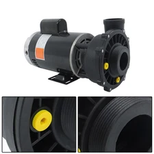 3721621-13 56Y Frame 4 HP Spa Pump 230-Volt Hot Tubs Dual-Speed Spa Pump Black