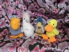 4x BIRDS Lot NHT Nearmint ❤️Quackers Kuku Jake Scoop ❤️ Vtg TY Beanie Baby Plush