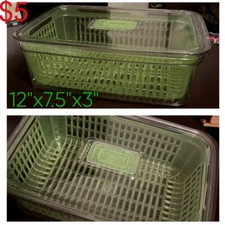 Rectangular Fruit Keeper Container